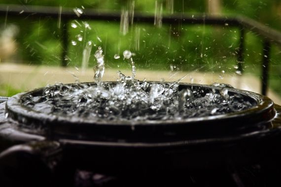 Rainwater Harvesting