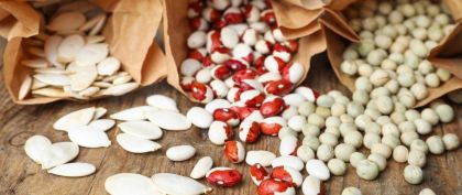 Seed Saving Guide
