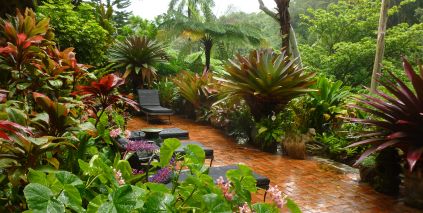 Tropical Gardening Guide