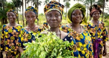 Nyota Community Garden